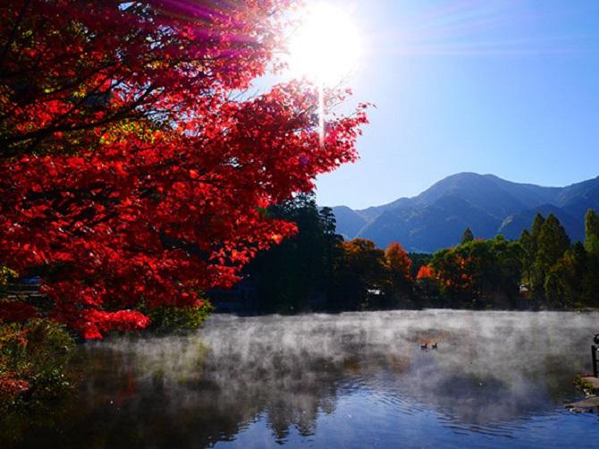紅葉の映える金鱗湖