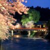 飛騨高山の中橋　夜桜