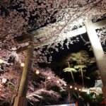 【鬼怒川】夜桜まつり
