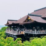 新緑の清水寺