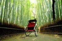 えびすや京都嵐山総本店の人力車