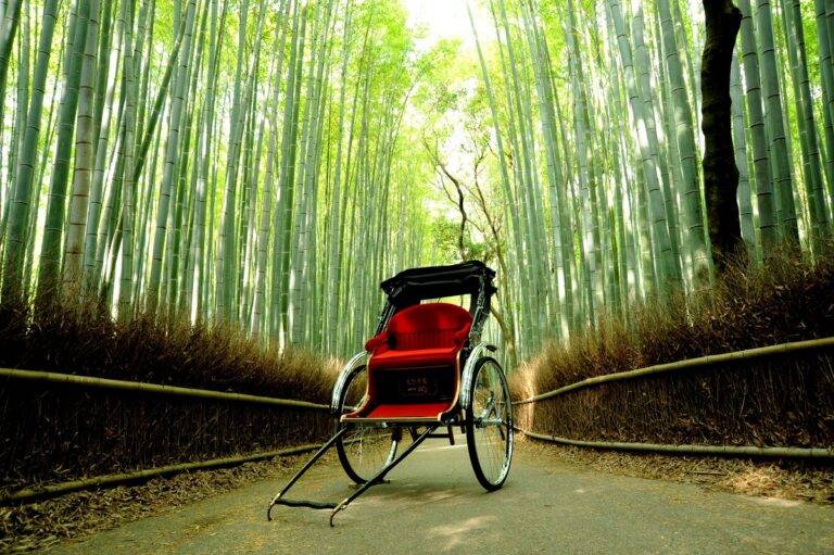 【車椅子で行く京都】観光人力車Wheelchair accessible rickshaw - 旅ちゃれんじ！車いすや高齢者でも利用できる ...