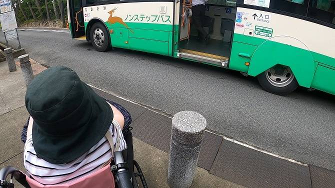 薬師寺バス停の樣子　等間隔にポールが立っているため、車いすでバスへの乗降には注意が必要